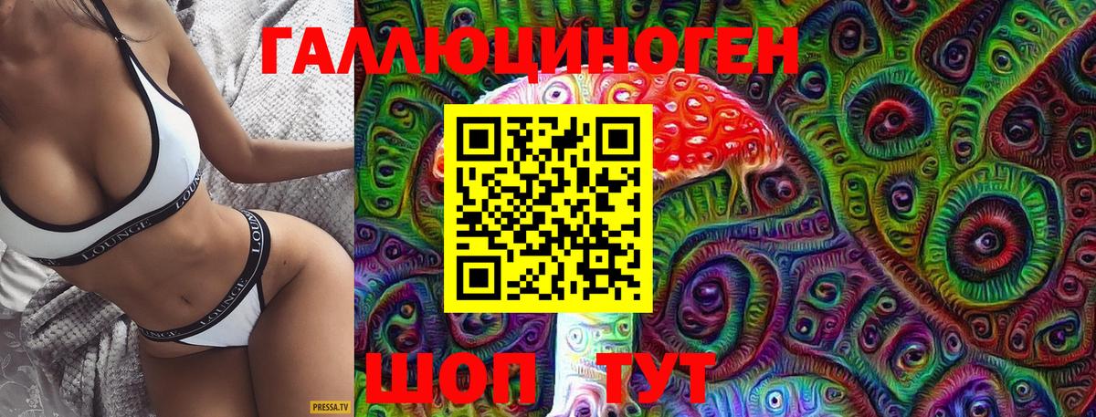 Псилоцибиновые грибы Psilocybine cubensis Гудермес