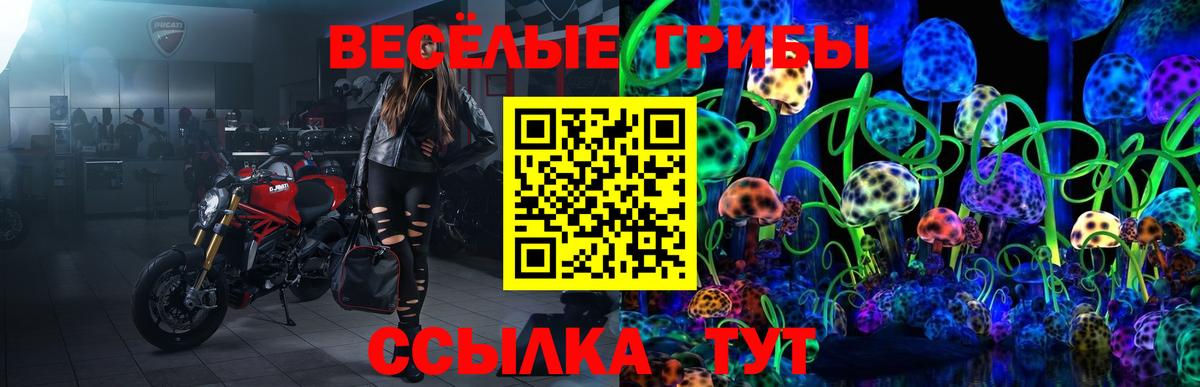 Галлюциногенные грибы прущие грибы  Вход с VPN  Гудермес 