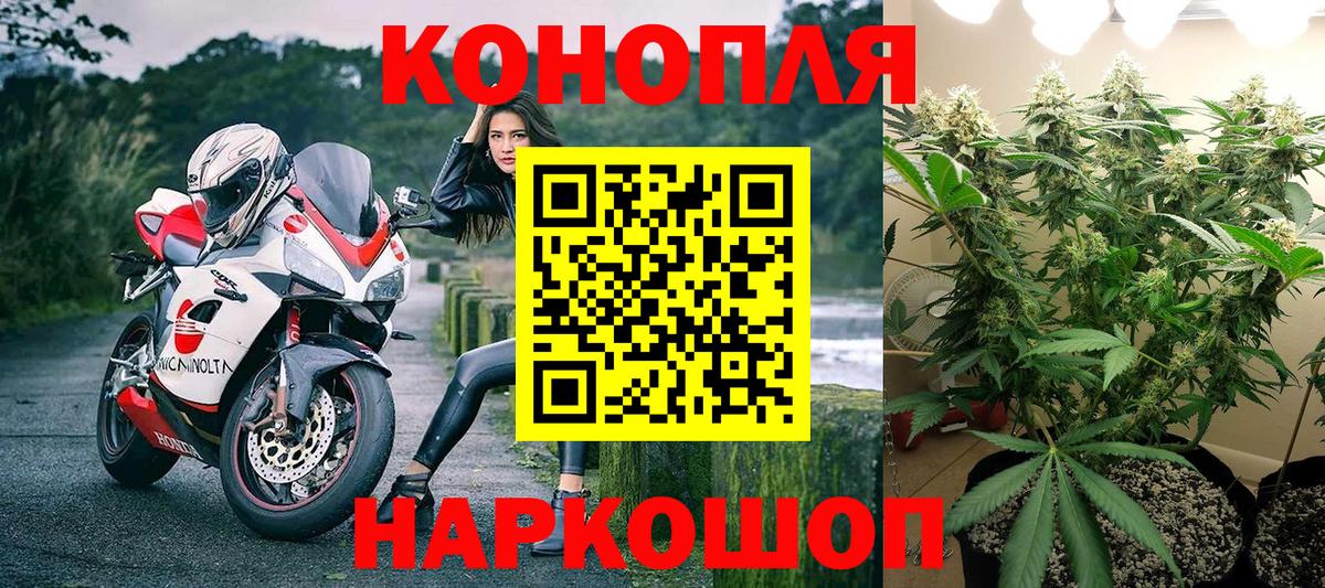 Бошки Шишки индика Гудермес